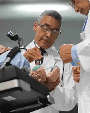 The Brain Song-creator.png